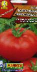 kuva tomaatit laji Volgogradskijj skorospelyjj 323