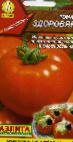 Foto Los tomates variedad Zdorovyak
