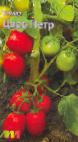 Photo des tomates l'espèce Car Petr