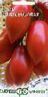 Foto Los tomates variedad Kapiya rozovaya 