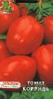Photo des tomates l'espèce Korrida