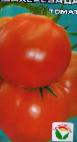 kuva tomaatit laji Shakherezada