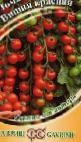 Foto Los tomates variedad Vishnya krasnaya