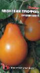 Photo des tomates l'espèce Yaponskijj tryufel oranzhevyjj