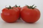 Photo des tomates l'espèce Belle F1