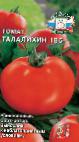 Photo des tomates l'espèce Talalikhin 186