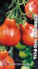 Foto Los tomates variedad Yaponskijj tryufel Krasnyjj