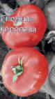 Photo des tomates l'espèce Snezhnaya koroleva