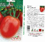 Foto Los tomates variedad Buyan