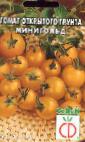 foto I pomodori la cultivar Minigold