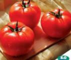 Foto Los tomates variedad Carin F1