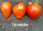 Photo des tomates l'espèce Gruzinskie 
