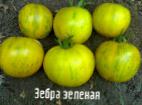 foto I pomodori la cultivar Zebra zeljonaya