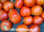 Photo Tomatoes grade Kitajjskijj gruntovyjj 