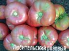Photo Tomatoes grade Lyubitelskijj rozovyjj 