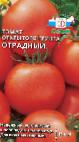 Foto Los tomates variedad Otradnyjj