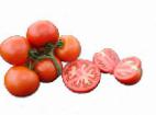 Photo Tomatoes grade Aksioma F1