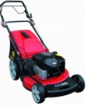 self-propelled lawn mower DDE WLZ21H Photo and description