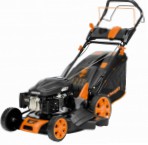 self-propelled lawn mower Daewoo Power Products DLM 5000 SP Photo and description