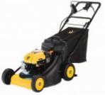 self-propelled lawn mower Yard-Man YM 6021 SMS Photo and description
