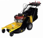 self-propelled lawn mower Eurosystems Professionale 67 Electric starter Photo and description