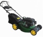 self-propelled lawn mower Iron Angel GM 53 SP Photo and description