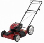 self-propelled lawn mower CRAFTSMAN 37562 Photo and description