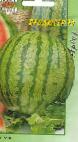 Photo Watermelon grade Prodyuser F1