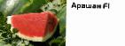 Photo une pastèque l'espèce Arashan F1 (Singenta)