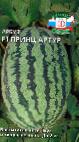 Photo Watermelon grade Princ Artur F1