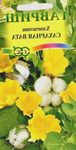Photo Gossypium, Cotton Plant characteristics